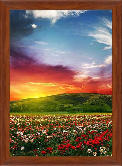 Картина в раме - Цветочное поле на закате