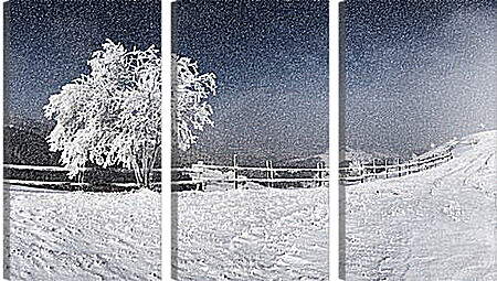 Модульная картина - Зимний пейзаж