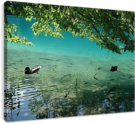 Постер и плакат - Плитвицкие озера