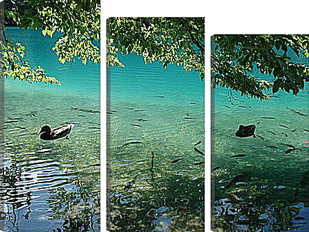Модульная картина - Плитвицкие озера