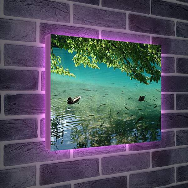 Лайтбокс световая панель - Плитвицкие озера