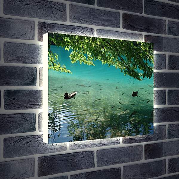 Лайтбокс световая панель - Плитвицкие озера
