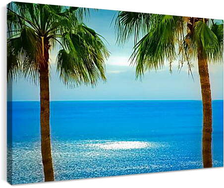 Постер и плакат - Океан и пальмы