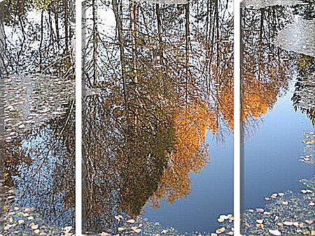 Модульная картина - Осеннее отражение