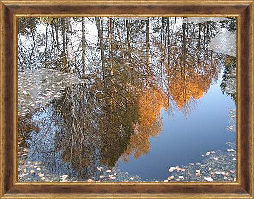 Картина в раме - Осеннее отражение
