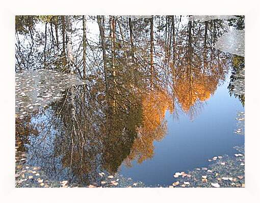 Картина в раме - Осеннее отражение
