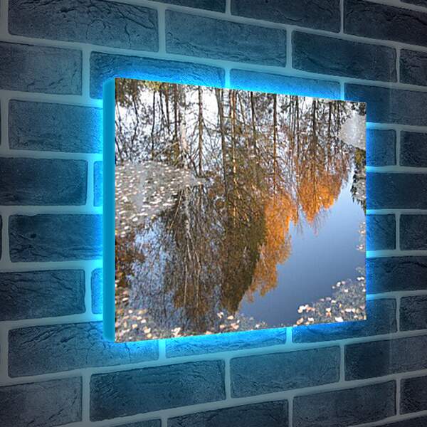 Лайтбокс световая панель - Осеннее отражение