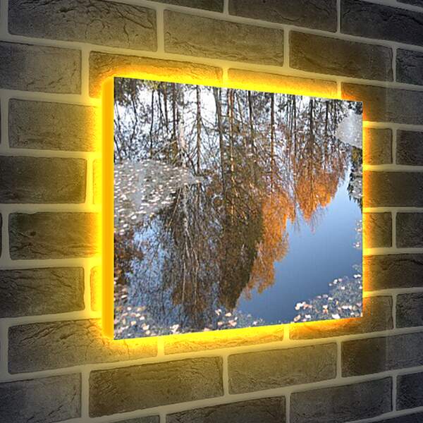 Лайтбокс световая панель - Осеннее отражение