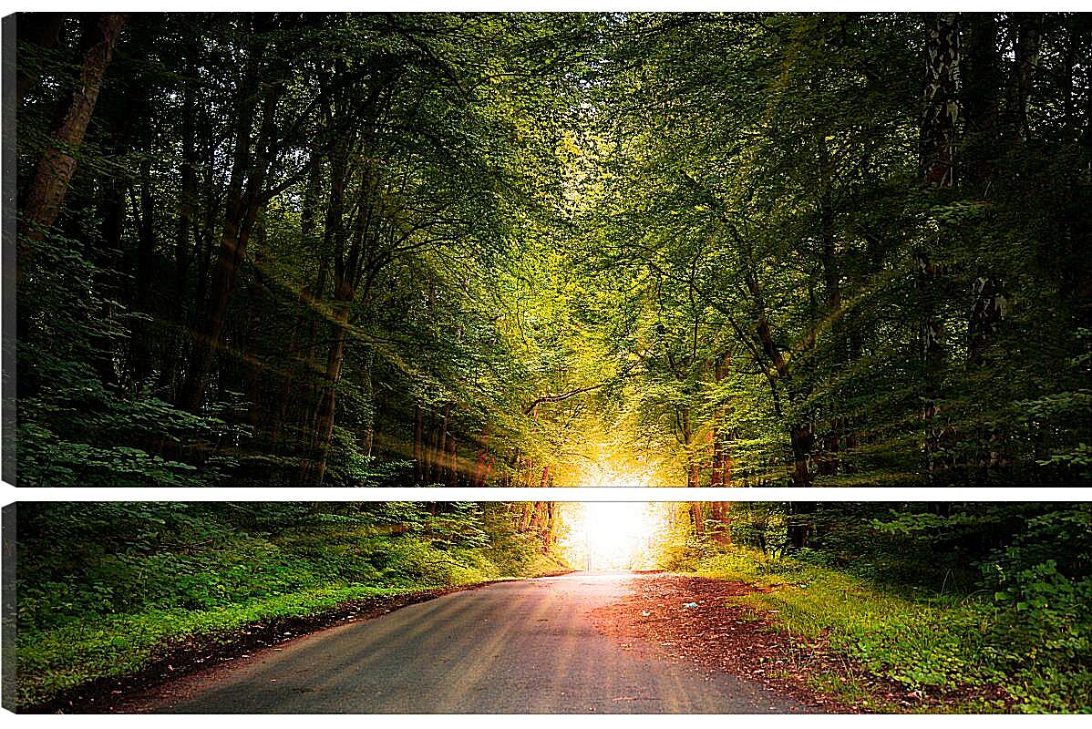 Модульная картина - Яркое солнце в лесу