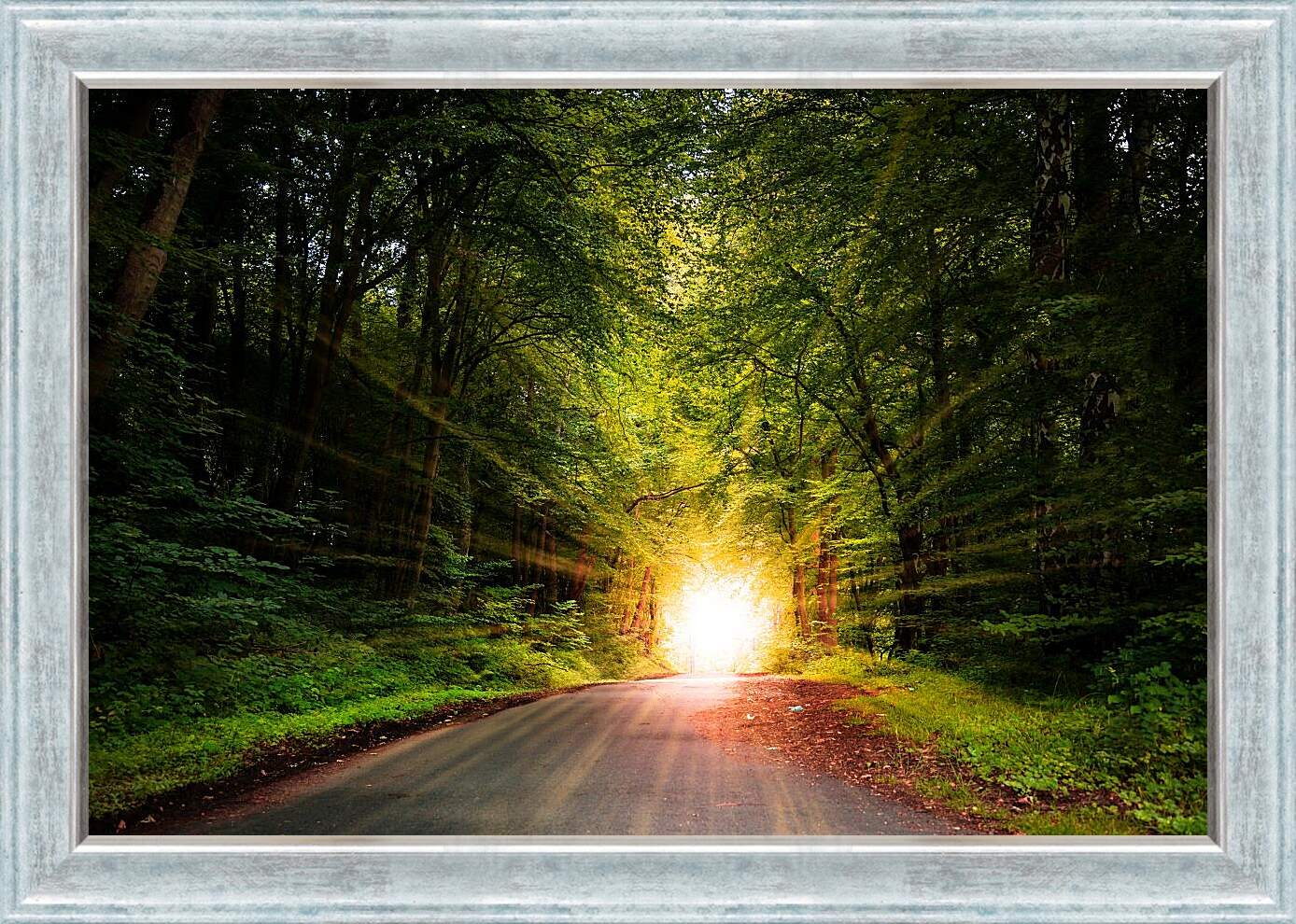 Картина в раме - Яркое солнце в лесу