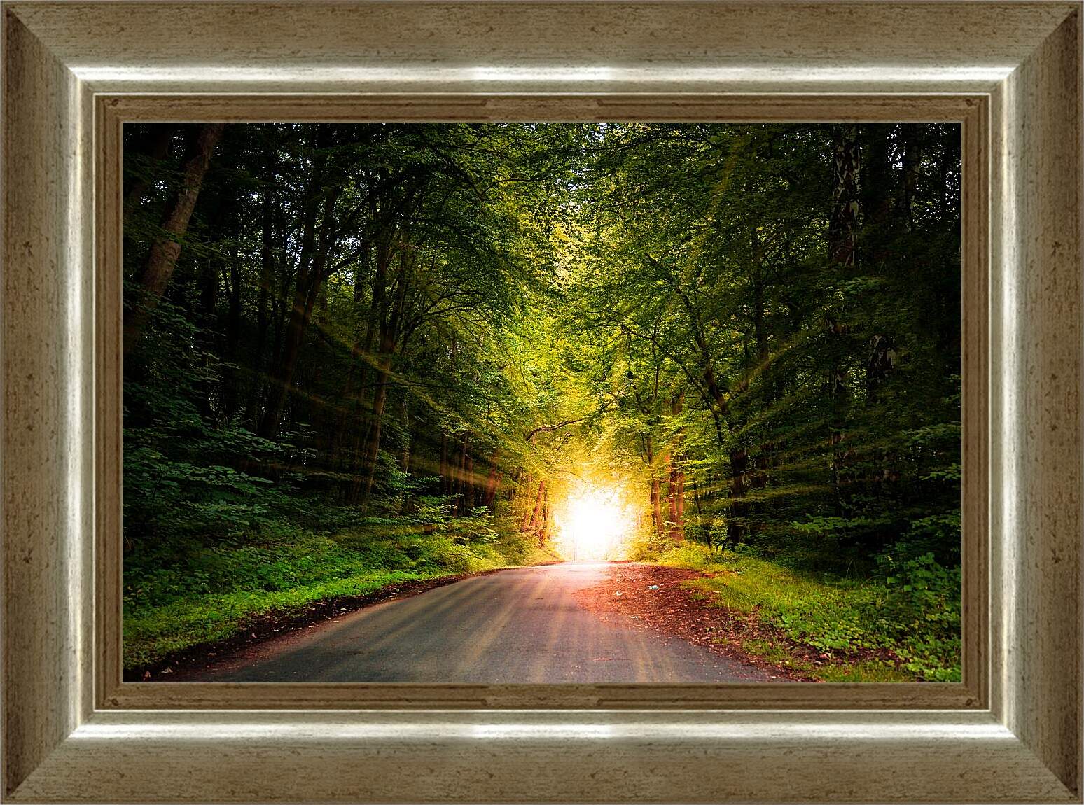 Картина в раме - Яркое солнце в лесу