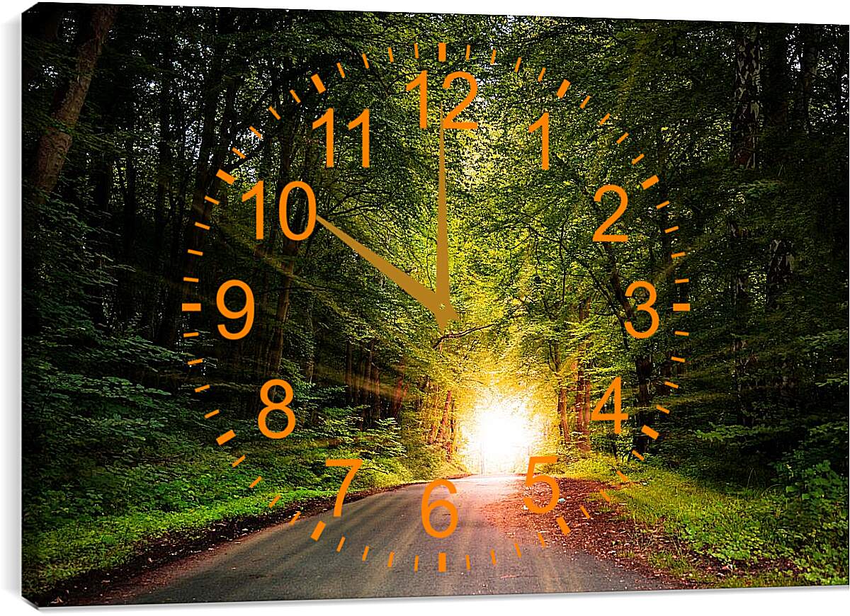 Часы картина - Яркое солнце в лесу