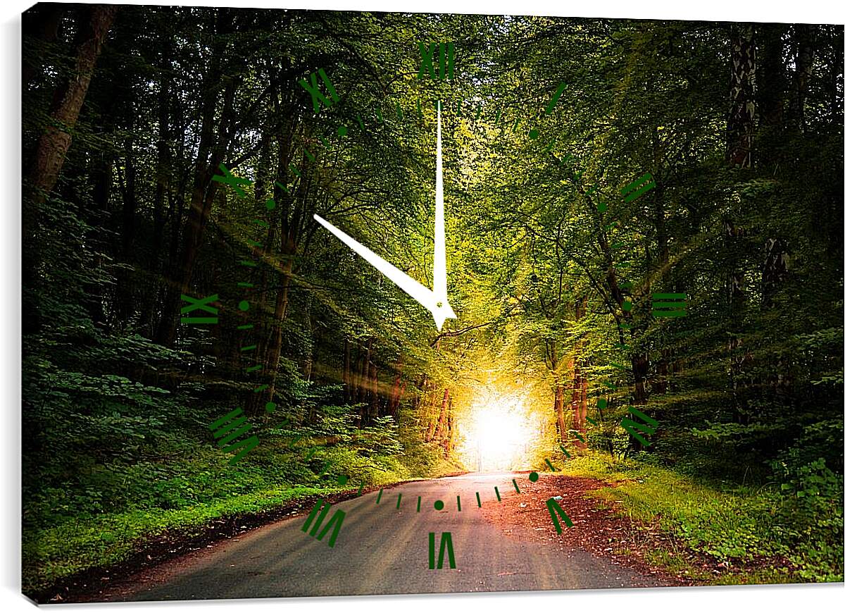 Часы картина - Яркое солнце в лесу