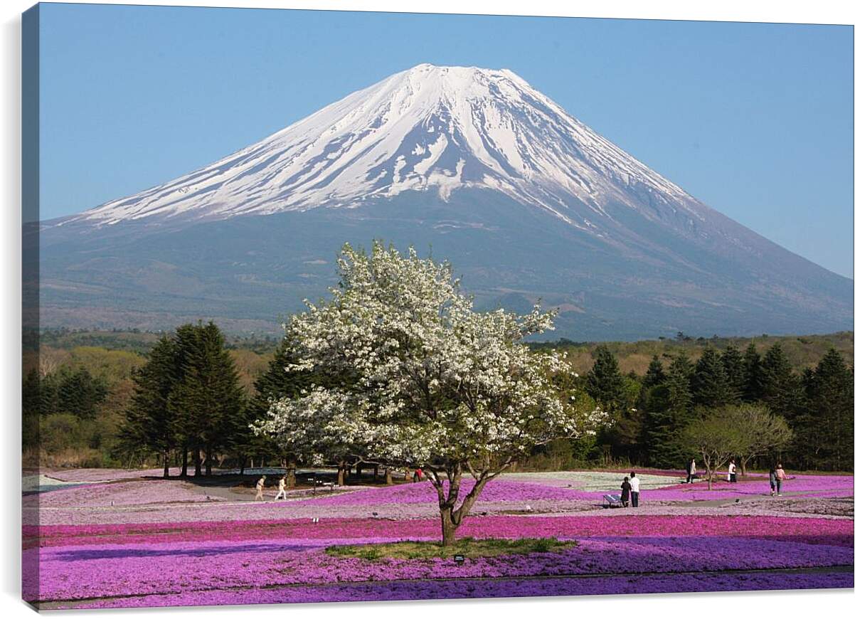 Постер и плакат - Гора Фудзияма 3. Япония