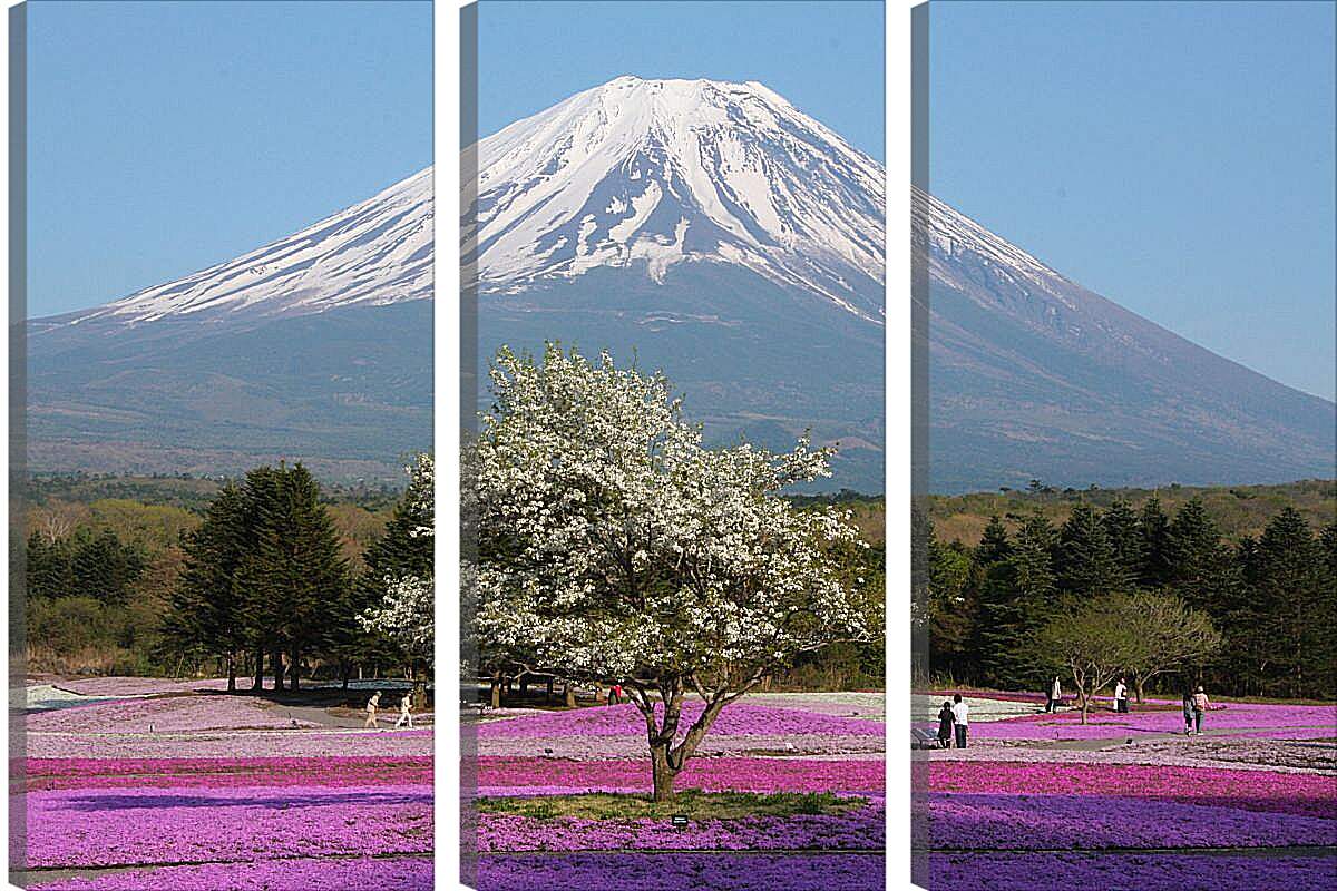 Модульная картина - Гора Фудзияма 3. Япония