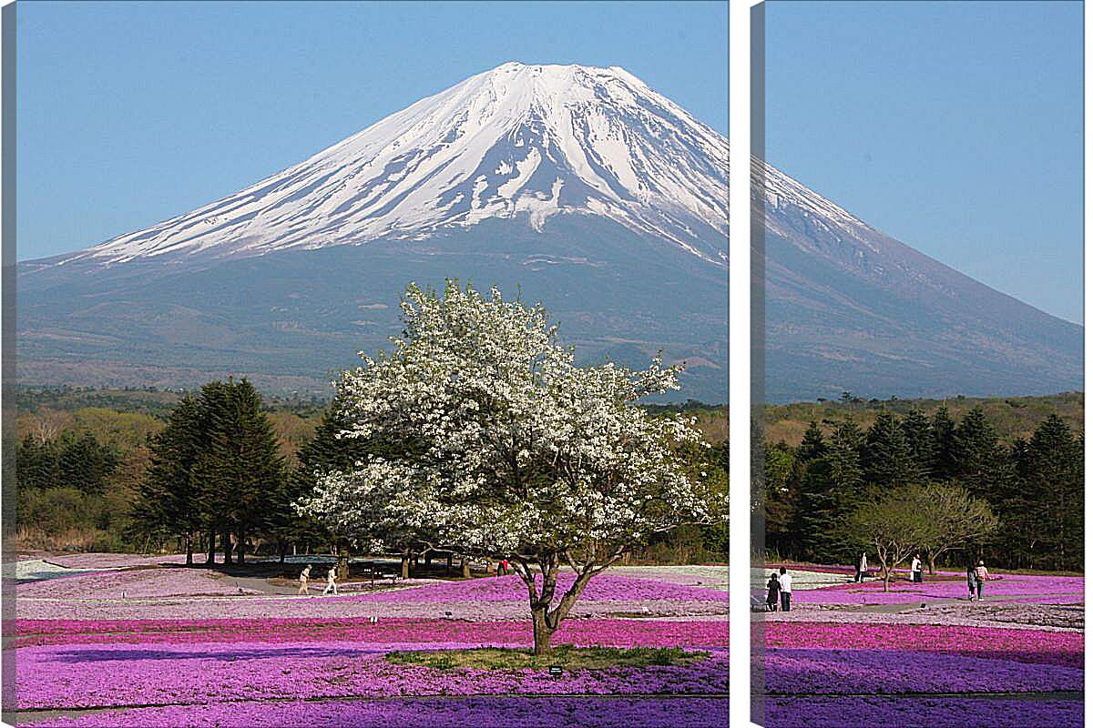 Модульная картина - Гора Фудзияма 3. Япония