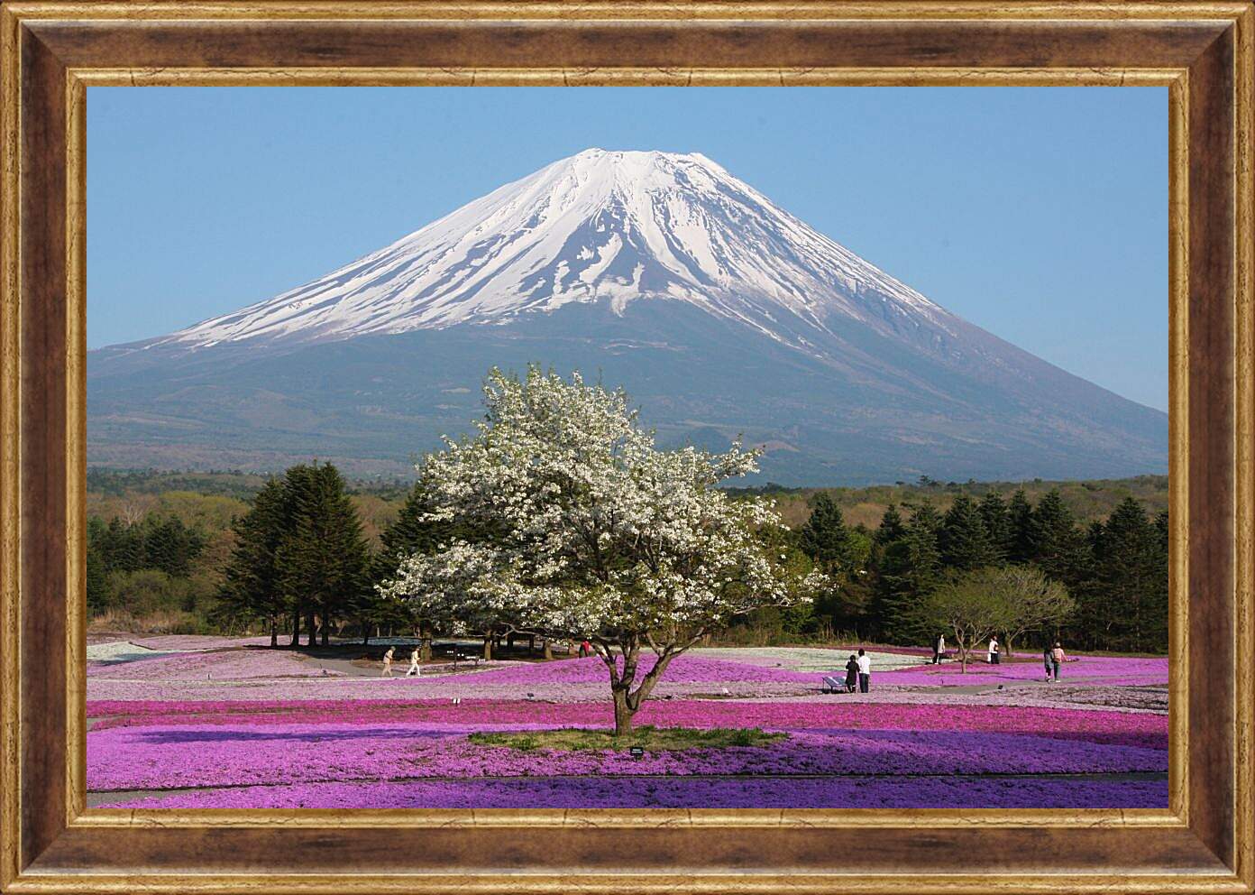 Картина в раме - Гора Фудзияма 3. Япония