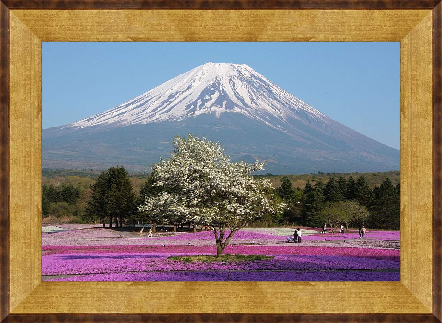 Картина в раме - Гора Фудзияма 3. Япония