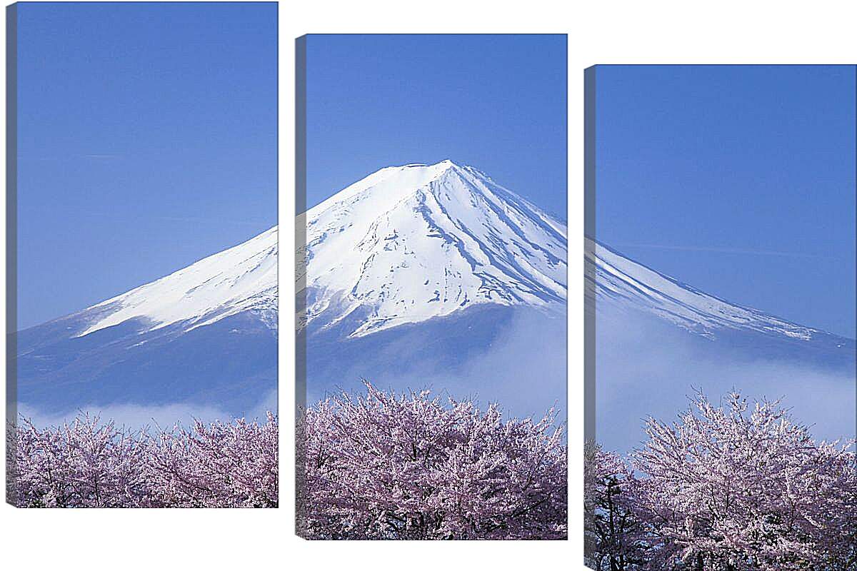 Модульная картина - Гора Фудзияма 2. Япония