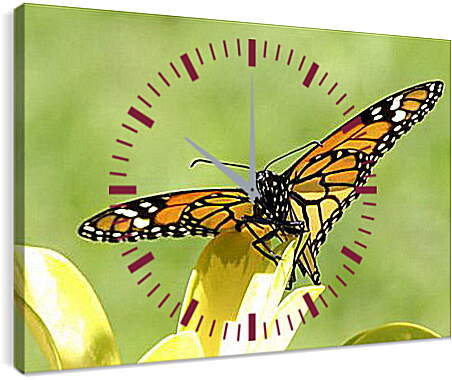 Часы картина - Природа
