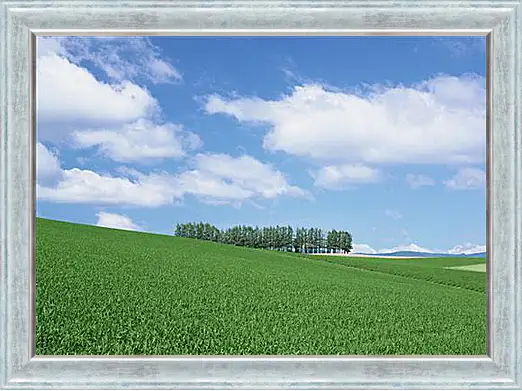 Картина в раме - Природа
