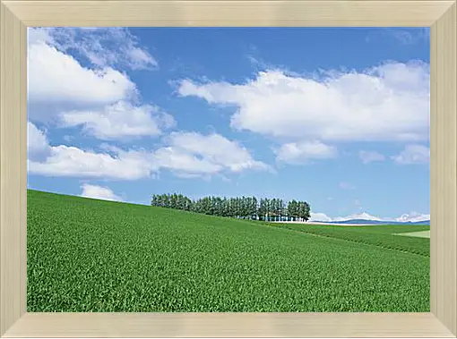 Картина в раме - Природа
