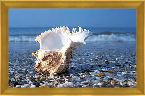 Картина в раме - Море
