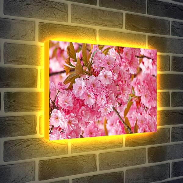 Лайтбокс световая панель - Весна
