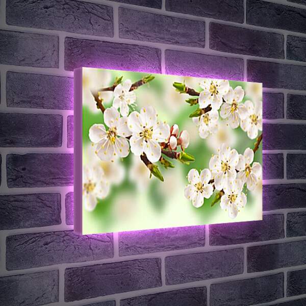 Лайтбокс световая панель - Весна
