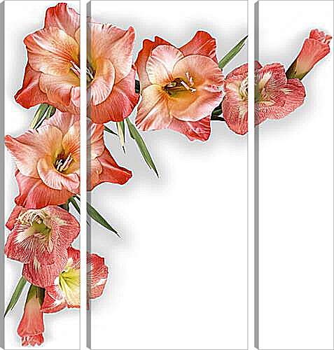 Модульная картина - gladiolusy - гладиолусы