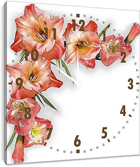 Часы картина - gladiolusy - гладиолусы