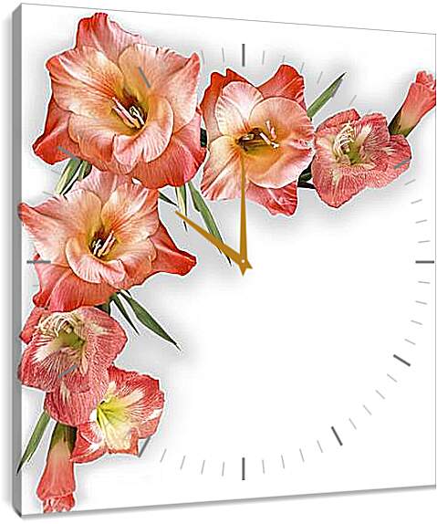 Часы картина - gladiolusy - гладиолусы