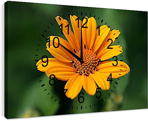 Часы картина - a flower - Цветок
