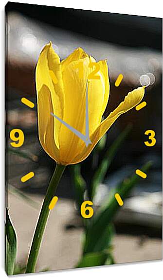Часы картина - tulip - Тюльпан