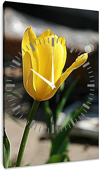 Часы картина - tulip - Тюльпан