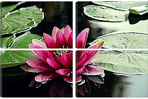 Модульная картина - lotus - Лотос
