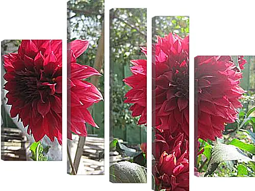 Модульная картина - Sunny dahlia - Солнечный георгин
