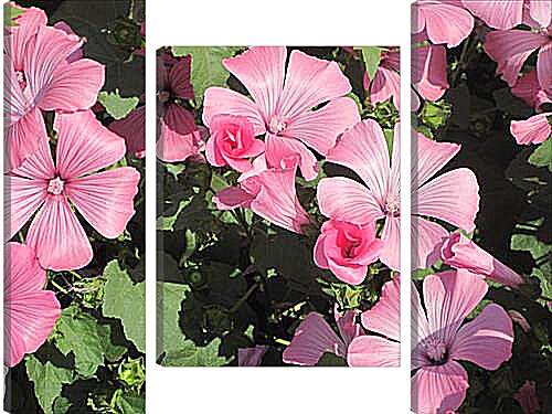 Модульная картина - garden flower - Садовый цветок
