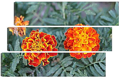 Модульная картина - цветок оранж
