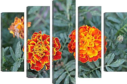 Модульная картина - цветок оранж
