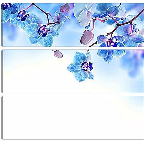 Модульная картина - blue orchid - Синяя Орхидея