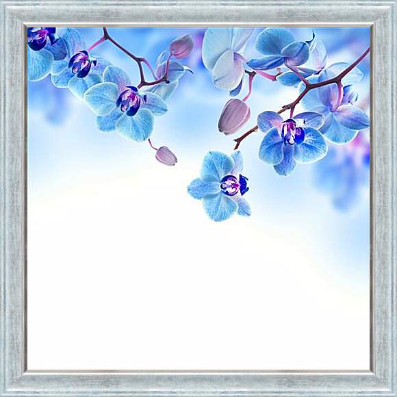 Картина в раме - blue orchid - Синяя Орхидея