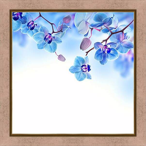 Картина в раме - blue orchid - Синяя Орхидея