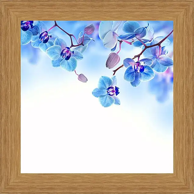 Картина в раме - blue orchid - Синяя Орхидея