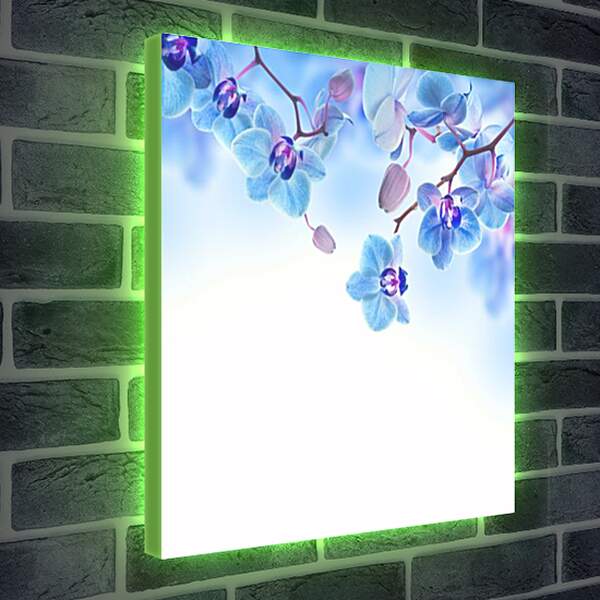 Лайтбокс световая панель - blue orchid - Синяя Орхидея