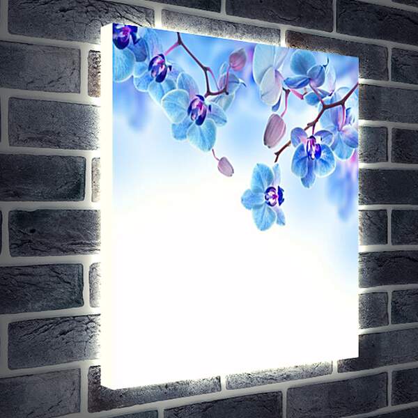 Лайтбокс световая панель - blue orchid - Синяя Орхидея