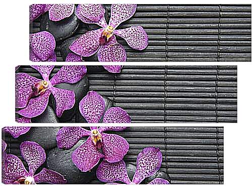 Модульная картина - Орхидея
