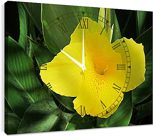 Часы картина - Yello - Желтый
