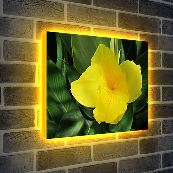 Лайтбокс световая панель - Yello - Желтый
