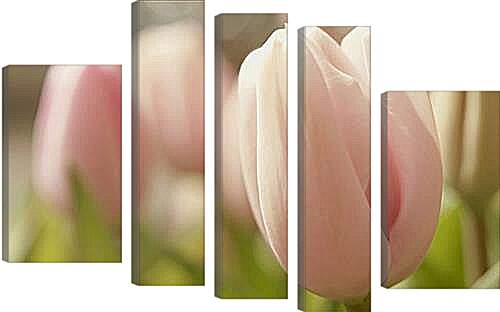 Модульная картина - тюльпаны